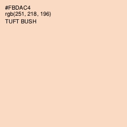 #FBDAC4 - Tuft Bush Color Image